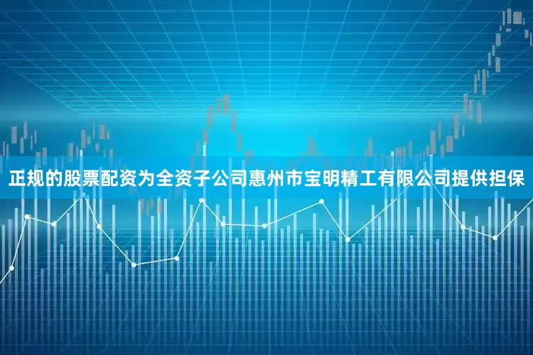 正规的股票配资为全资子公司惠州市宝明精工有限公司提供担保