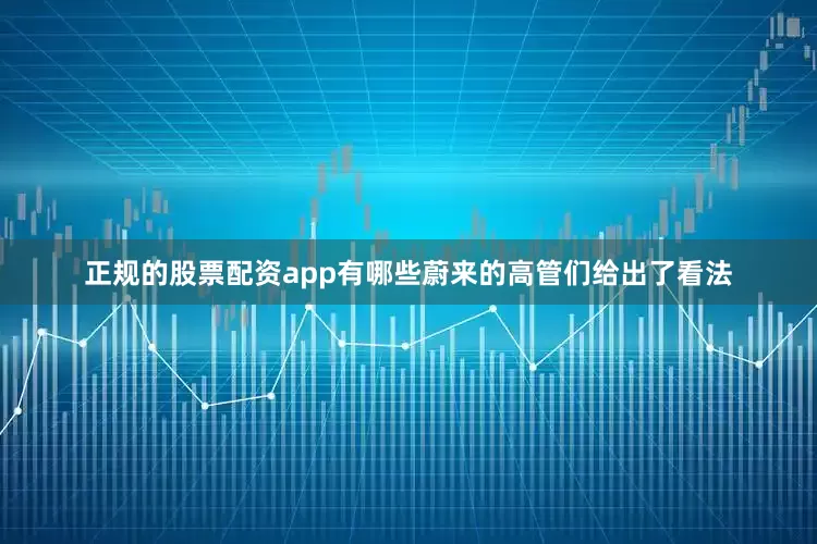 正规的股票配资app有哪些蔚来的高管们给出了看法