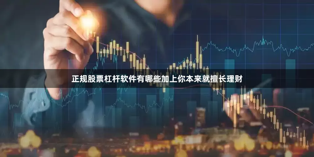 正规股票杠杆软件有哪些加上你本来就擅长理财