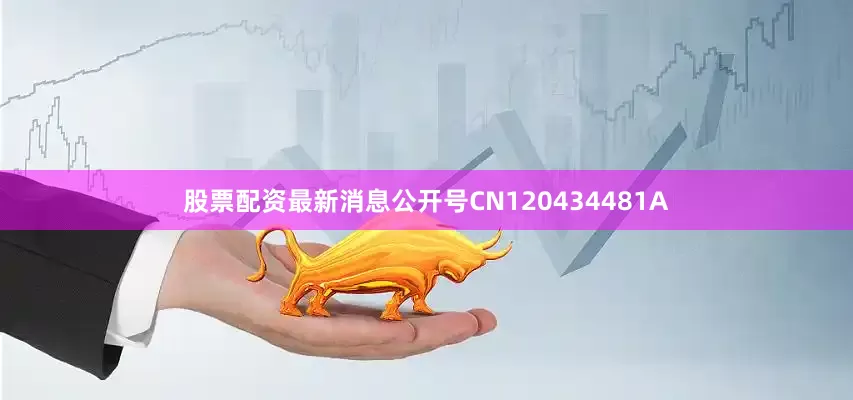 股票配资最新消息公开号CN120434481A