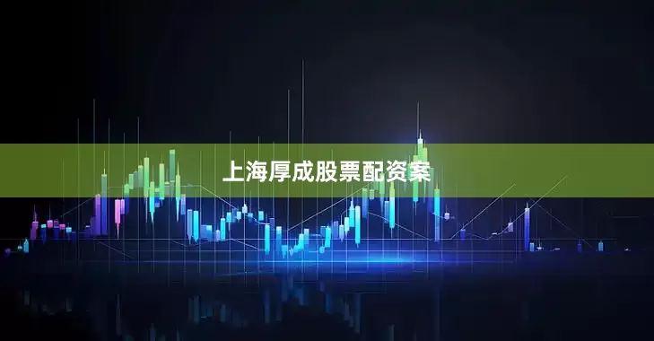 上海厚成股票配资案