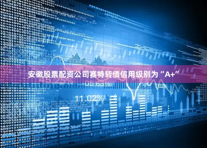 安徽股票配资公司赛特转债信用级别为“A+”